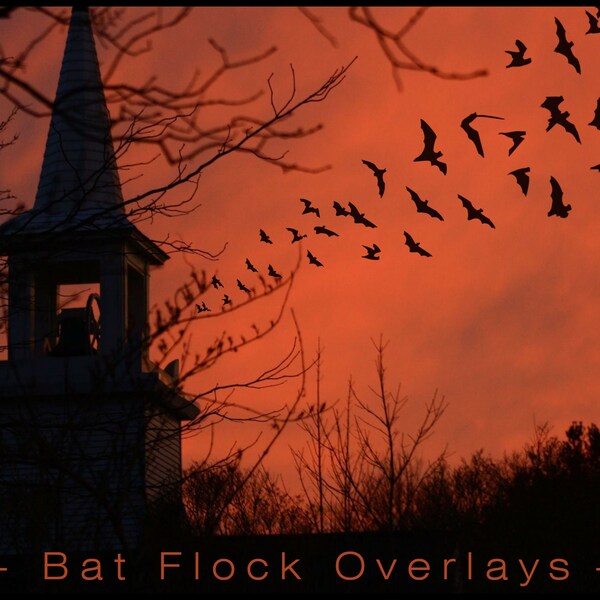 Bat Flock Photo Overlays, Transparent PNG, Commercial Use, Transparent Background, Digital Backdrop, Photoshop Overlay, Instant Download