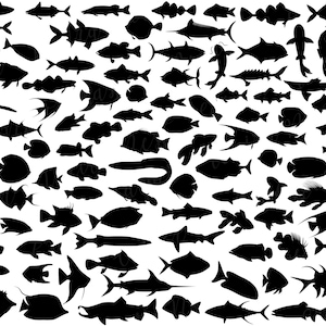 Fisch Silhouette Bundle - SVG, PNG, JPG - Kommerzielle Nutzung, Digitale Schnittdateien, Sofortiger Download, bereit zum Schneiden, Fisch zwarte, Schneidedatei, Goldfisch