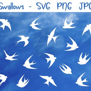 Paquete de golondrinas y vencejos SVG PNG JPG - uso comercial - archivos de corte digital para cricut / silueta - fondo transparente - descarga instantánea