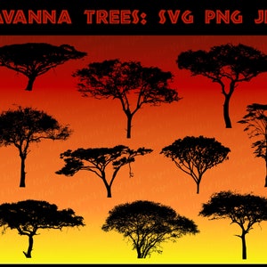 Pacchetto di alberi della savana - SVG PNG JPG - sfondo trasparente - uso commerciale - download immediato - file per Cricut / Silhouette studio