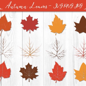 Autumn / Fall Layered Leaf Bundle - SVG, PNG, JPG, Digital Cut File, Commercial Use, Instant Download, Autumn Leaves, Fall Leaves, Leaf svg