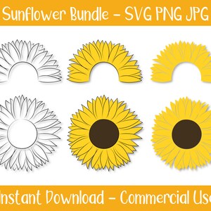 Sunflower Monogram Bundle, SVG PNG JPG, Fondo transparente, Uso comercial, Descarga instantánea, Archivos para Cricut, Monograma de girasol
