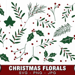 Fleurs de Noël, ensemble de cliparts - SVG, PNG, JPG, fichier de découpe numérique - tout usage commercial, téléchargement immédiat, houx, gui svg, lierre, sapin