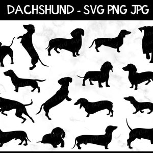 Dachshund Dog Silhouette Bundle, SVG, PNG, JPG, digital cut files, Commercial Use, Transparent Background, Instant Download, Ready to cut
