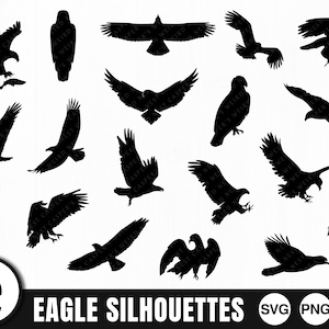 Silhouette di aquile, SVG, JPG, PNG, uso commerciale, file di taglio digitale, file per Cricut, sfondo trasparente, uccello in volo, aquila Svg, becco
