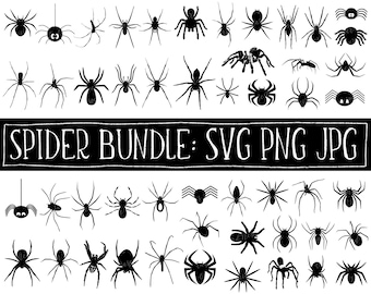 Spider SVG Bundle – Halloween Cricut Cut Files (Digital Download)