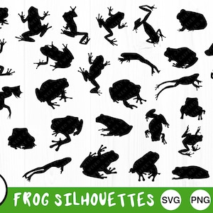 Big Froggy Bundle - SVG, PNG, JPG - usage commercial, fichiers de découpe numérique, téléchargement immédiat, prêt à découper, fond transparent, grenouille Svg