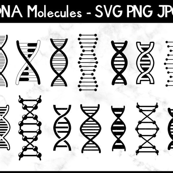 DNA Molecules Bundle - SVG, PNG, Jpg - Commercial Use - Instant Download - Transparent Background - Files for Cricut / Silhouette