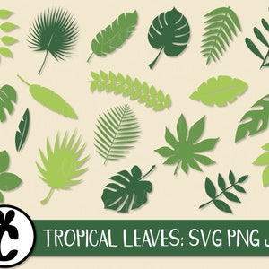 Tropical Leaves Bundle - SVG, PNG, JPG, Digital Cut Files, Instant Download, Commercial Use, Tropical Leaf, Palm Leaf, Leaf Svg, Leaves Svg