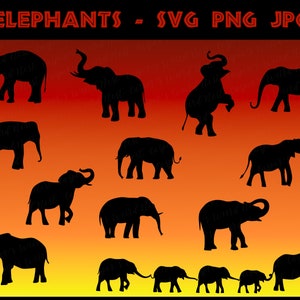 Elephant Silhouettes - SVG, PNG, JPG - Digital Cut Files, Commercial Use, Instant Download, File for Cricut, Transparent Background, Elefant