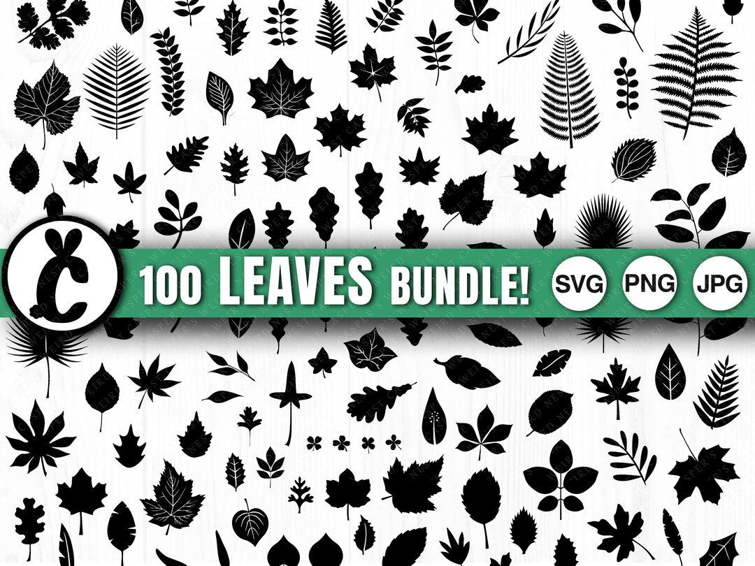 Leaf Bundle - SVG, PNG, JPG, Digital Cut Files - 100 Unique Leaves ...
