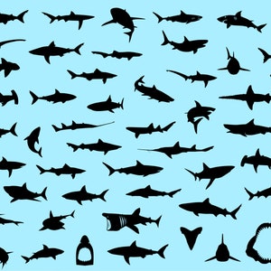 Shark Silhouettes -  SVG, PNG, JPG - Commercial Use, Digital Cut Files, Shark Cut File, Shark Clipart, Digital Download, Instant Download