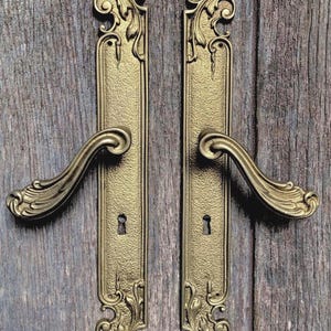Ein Paar prachtvolle antike Türschilder aus vergoldeter Bronze im Rokoko Stil mit passenden Türklinken