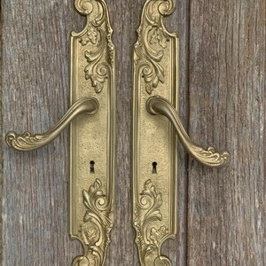 May include: A pair of matching brass door handles featuring elongated rectangular backplates with intricate embossed scrollwork and leaf motifs. Each handle has a curved lever design and a central keyhole opening, showcasing a textured finish.