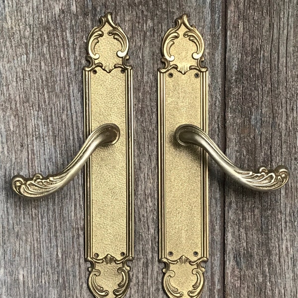 A pair of stylish and exquisitely detailed rococo gilt bronze doorplates with original matching door handles