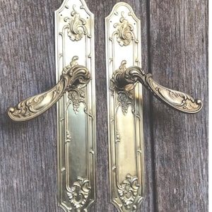 A pair  of detailed well-moulded repousse brass door handles and plates in the rococo style