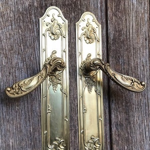 May include: A pair of antique brass door handles, featuring elaborate floral and scroll detailing. The handles have a curved lever design and are mounted on rectangular backplates. The brass has a warm, aged patina, set against a weathered wooden background.