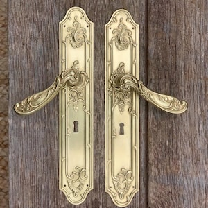 May include: Two matching brass door handles with long, rectangular backplates featuring intricate, embossed floral and scrollwork patterns. Each handle includes a central lever and a keyhole cutout at the bottom, showcasing a polished metallic finish.