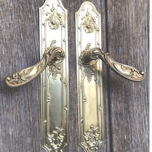 May include: Two matching brass door handles with long, rectangular backplates. Each handle features an ornate, curved lever and intricate embossed floral and scrollwork detailing along the edges and the base of the lever mechanism.