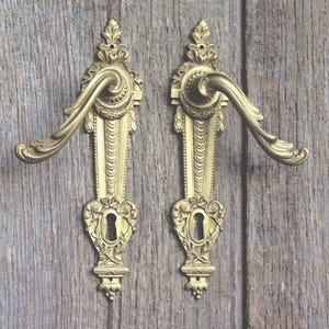 Puede incluir: Un par de manillas de puerta de latón ornamentado con placas a juego que presentan intrincados motivos de volutas, hojas y una cerradura central. El acabado metálico dorado resalta los patrones en relieve de las placas y palancas.
