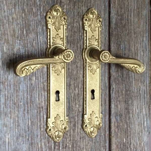 A pair of magnificent traditional gilt bronze doorplates in the rococo style with original matching door handles