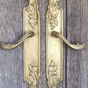 May include: A pair of gold-toned metal door handles featuring long, rectangular backplates with ornate, raised scrollwork and leaf-like detailing at the top and bottom. The handles have a curved, ergonomic shape with decorative engravings.