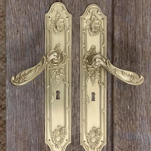 A pair  of detailed well-moulded repousse brass door handles and plates in the rococo style