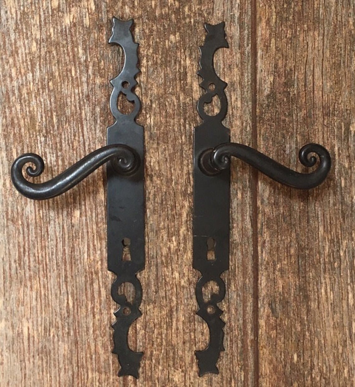 Une Paire de Plaques Rustiques Porte en Métal Vintage Dans Un Modèle Classique Tête Coq avec Une Lev