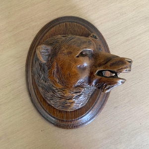 Può includere: Una placca da parete con testa di orso intagliata nel legno, caratterizzata da una finitura marrone scuro con venature visibili. L'orso è raffigurato con la bocca leggermente aperta, dettagliata texture del pelo e montata su base ovale.