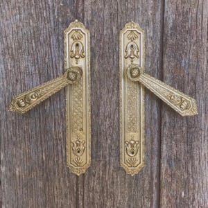May include: Two matching brass door handles with rectangular backplates. Each handle features an ornate, textured surface with intricate floral and geometric patterns, including a central diamond lattice design and decorative motifs at the top and bottom.