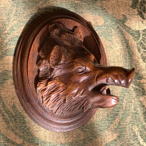 Può includere: Una testa di cinghiale in legno intagliato montata su una placca ovale scura. La testa del cinghiale è dettagliata con zanne e texture della pelliccia visibili. Il legno è di un ricco colore marrone scuro.