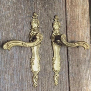May include: Two matching brass door handles featuring an elongated vertical backplate with intricate scrollwork and floral relief detailing. Each handle has a curved, ergonomic lever design with a polished metallic finish and ornate decorative accents.