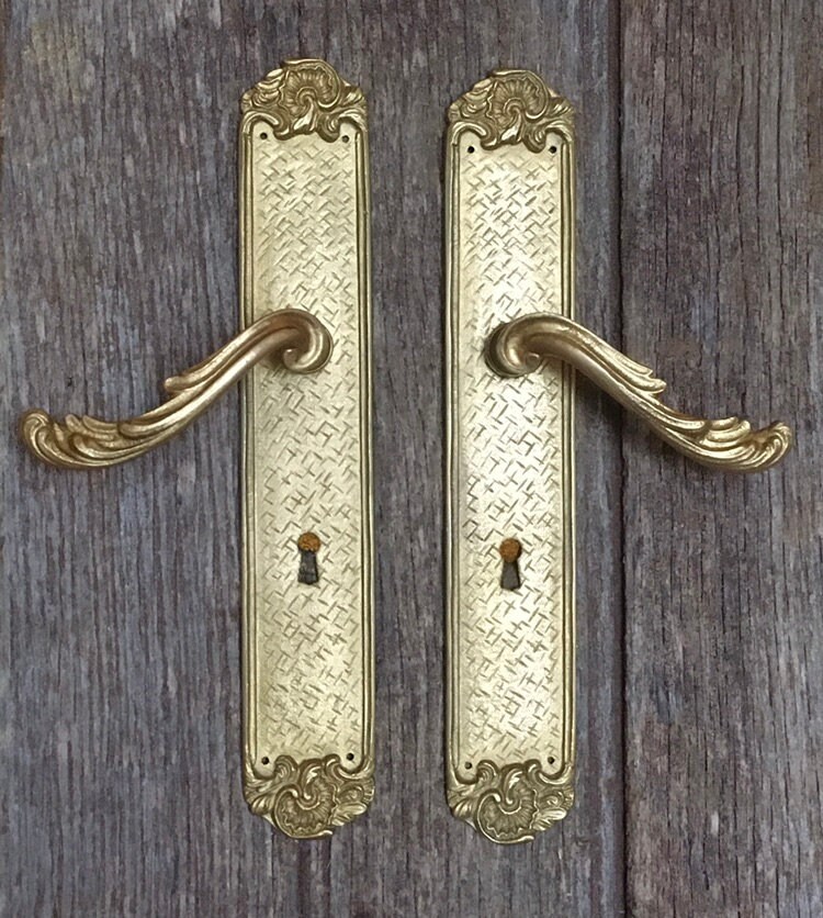 Une Paire de Plaques Porte en Bronze Doré Élégantes et Délicieusement Détaillées avec Des Poignées A