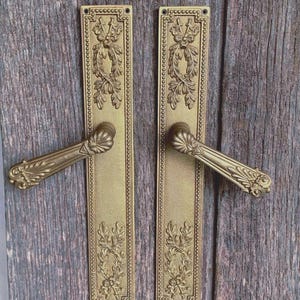 Magnifiques plaques de porte en bronze doré antique de style rococo avec poignées de porte assorties