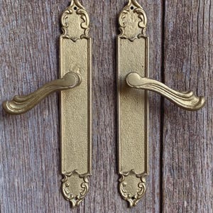 A stylish  pair of bronze door handles with matching plates in the Rococo style from a French maker