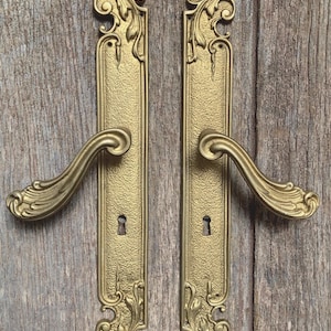 Magnifiques plaques de porte en bronze doré antique de style rococo avec poignées de porte assorties