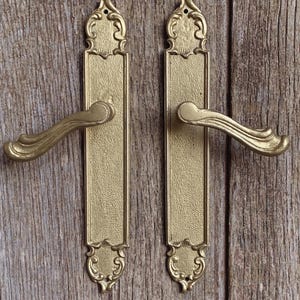 A stylish  pair of bronze door handles with matching plates in the Rococo style from a French maker
