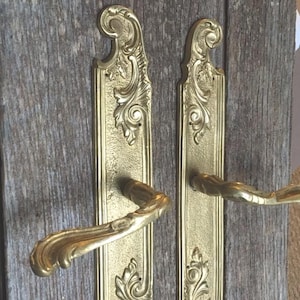 Può includere: Due maniglie per porte dorate ornate con intricati disegni floreali e a volute. Le maniglie sono montate su placche rettangolari e presentano leve curve. Lo sfondo è una superficie di legno invecchiato.