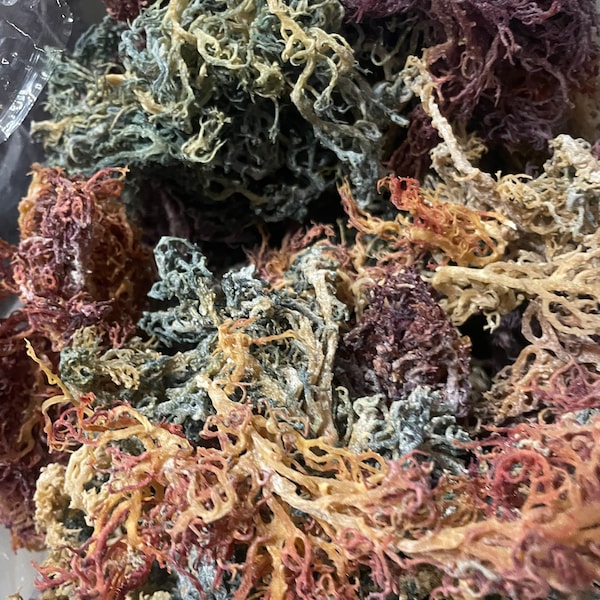 Seamoss - Etsy