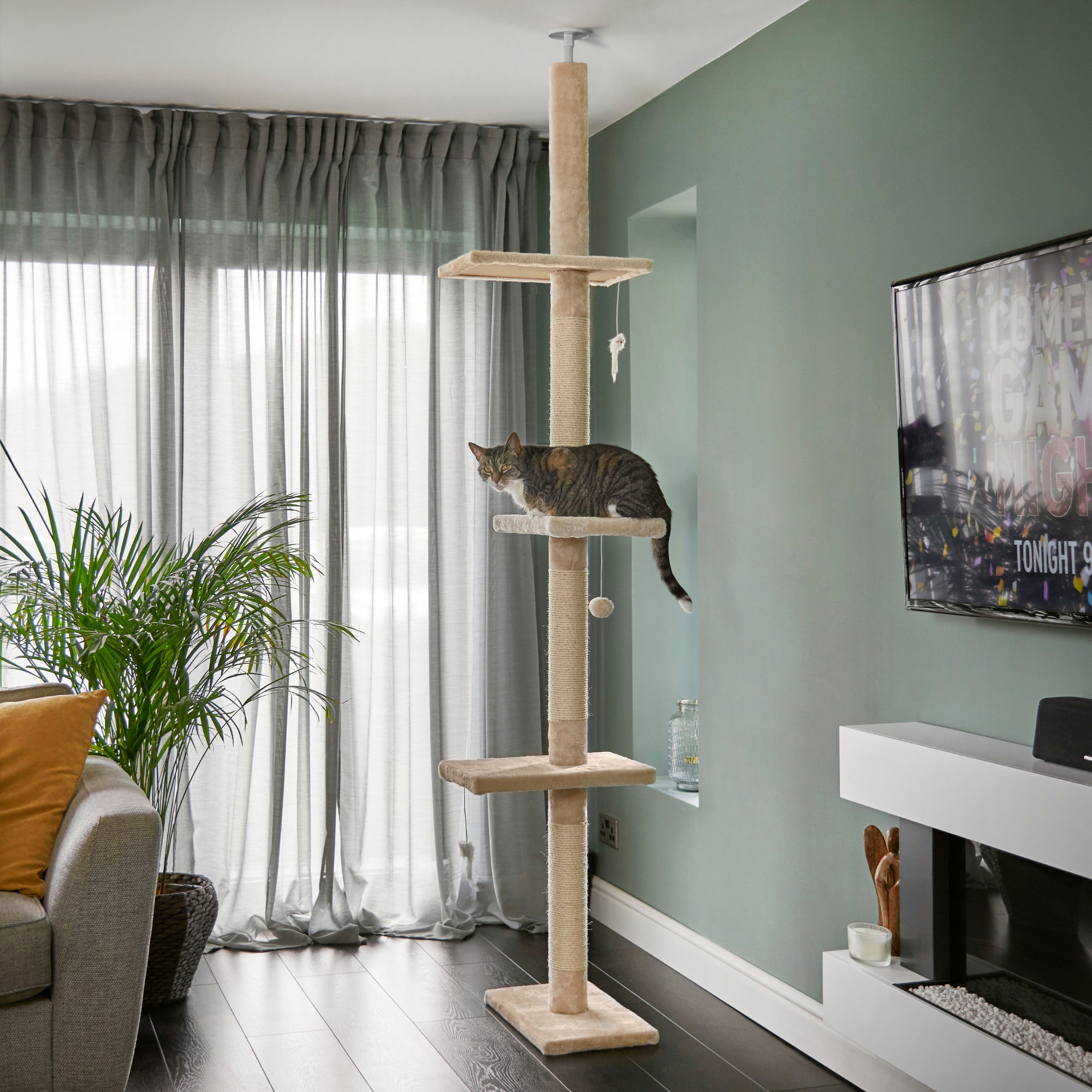 cat tree