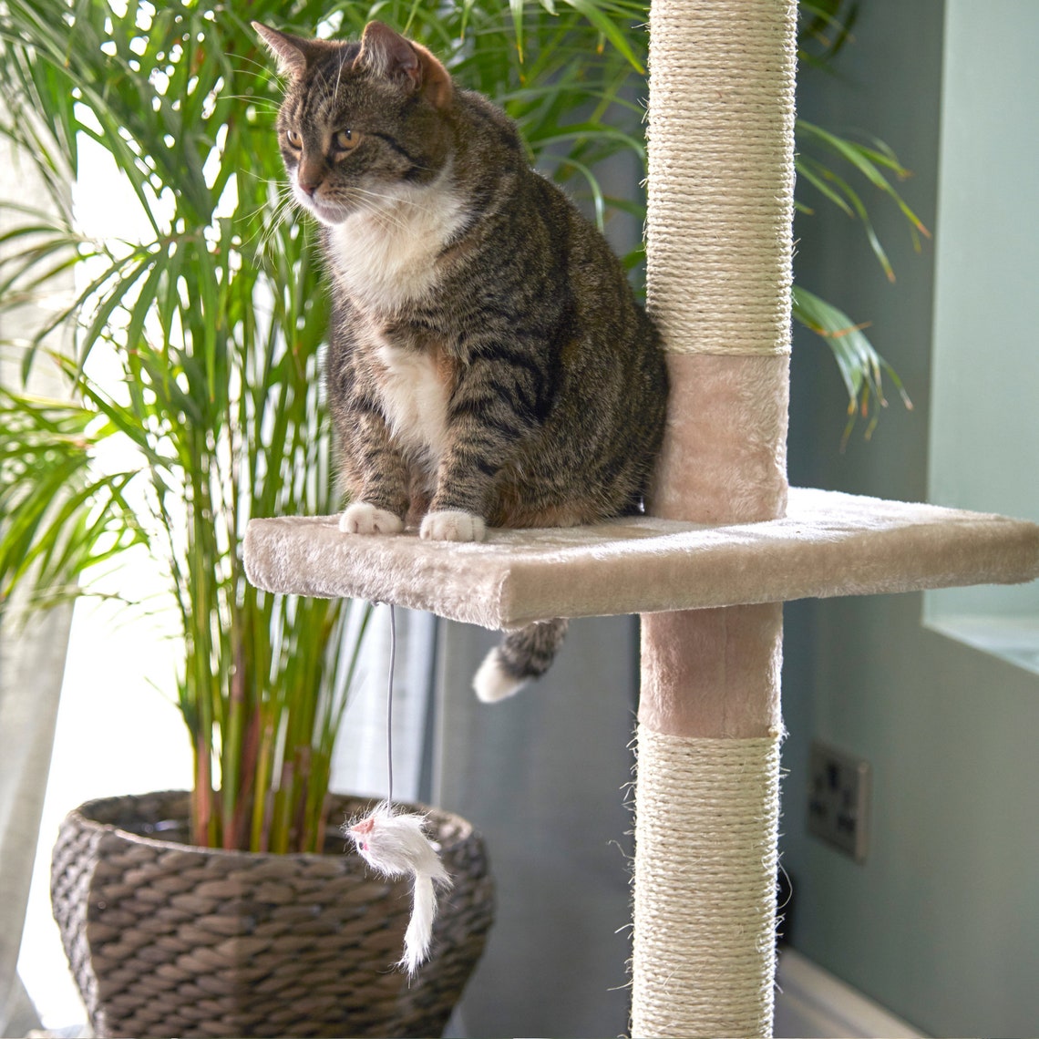 Floor to Ceiling Cat Tree Beige Cat Scratch Post Height Etsy