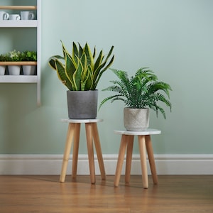 Haus Projekt Cloud Kids Bedside Table Large, Children's Stool, Perfect Lamp or Plant Stand, Side Table, Wooden White & Pine Scandi Chair