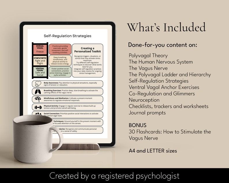 polyvagal theory, polyvagal therapy, regulating the nervous system, therapy tools, therapy worksheets, therapist tools, therapist worksheets, counselor worksheets, counselor business, canva templates, psychologist