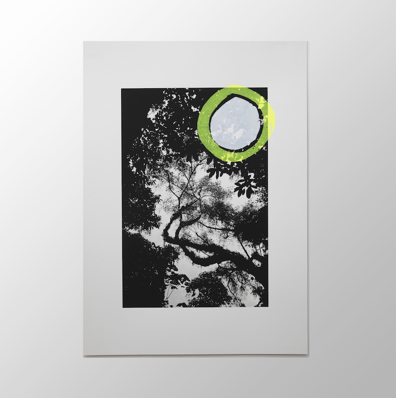 May include: Black and white photograph of a tree with branches reaching up towards a green circle with a white centre. The circle is partially obscured by the tree branches.
