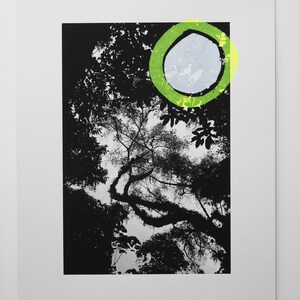 May include: A black and white photograph of tree branches against a light blue sky. A green circle with a yellow outline is superimposed over the image.