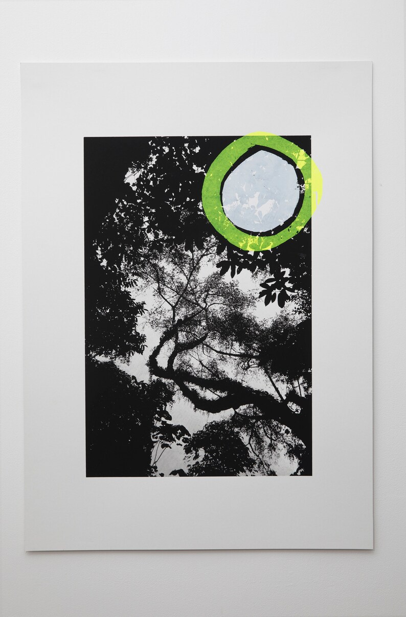 May include: A black and white photograph of tree branches against a light blue sky. A green circle with a yellow outline is superimposed over the image.