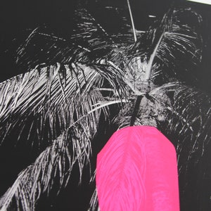 Puede incluir: Una fotograf&iacute;a en blanco y negro de una palmera con un rect&aacute;ngulo de color rosa brillante en primer plano.