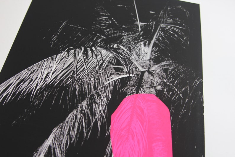 Puede incluir: Una fotograf&iacute;a en blanco y negro de una palmera con un rect&aacute;ngulo de color rosa brillante en primer plano.