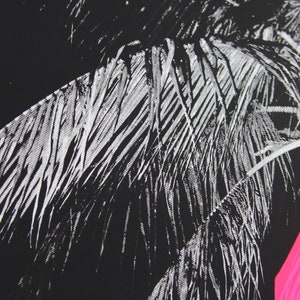 Puede incluir: Imagen en blanco y negro de hojas de palmera con un c&iacute;rculo rosa brillante en la esquina inferior derecha.