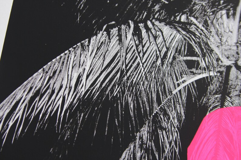 Puede incluir: Imagen en blanco y negro de hojas de palmera con un c&iacute;rculo rosa brillante en la esquina inferior derecha.